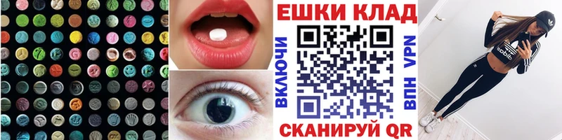 ЭКСТАЗИ Philipp Plein  сколько стоит  Суоярви 