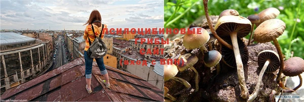 ешки Абдулино